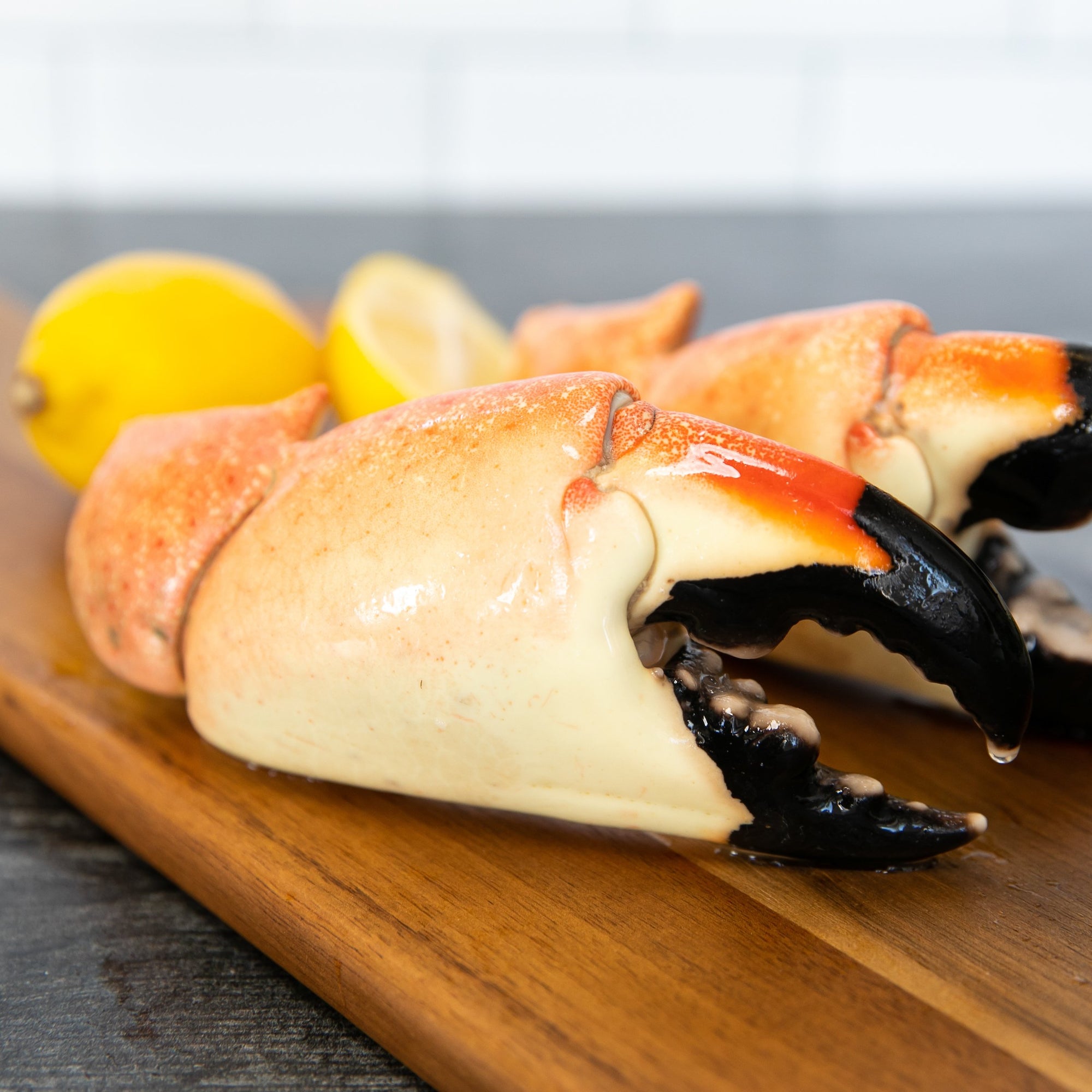 Buy Large Florida Stone Crab Claws