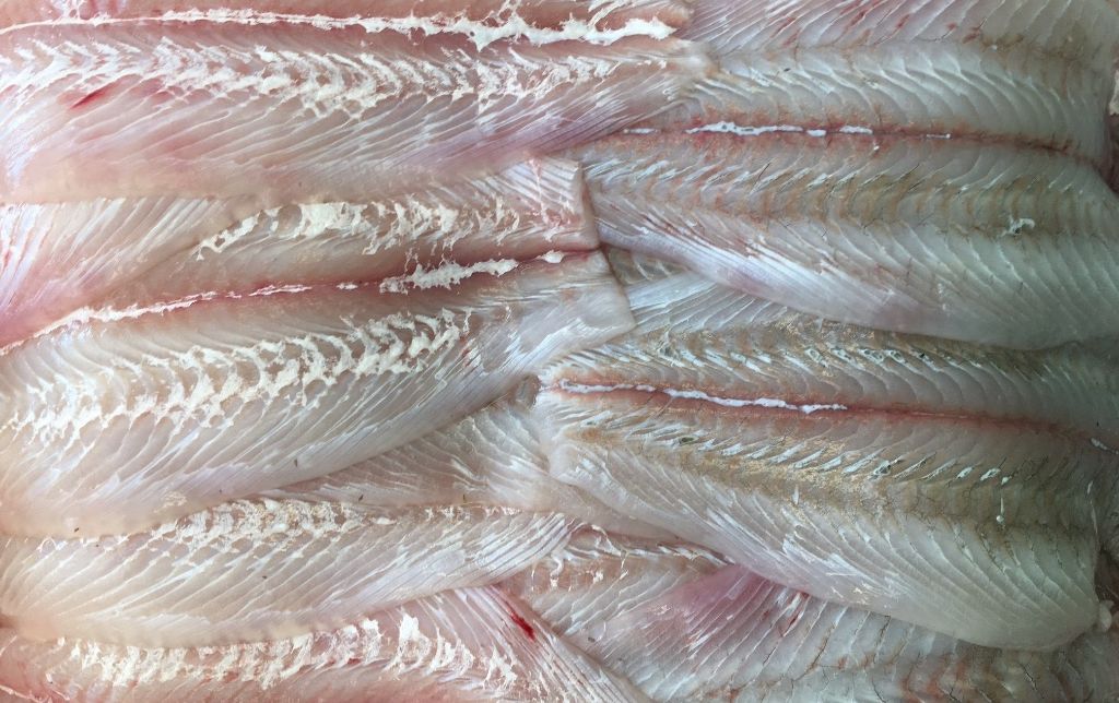 Fluke and flounder home delivery