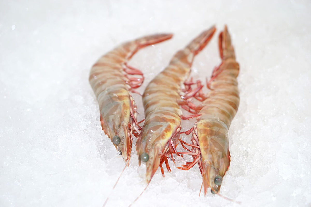 Buy prawns online