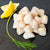 Order Nantucket Bay Scallops for Home Delivery