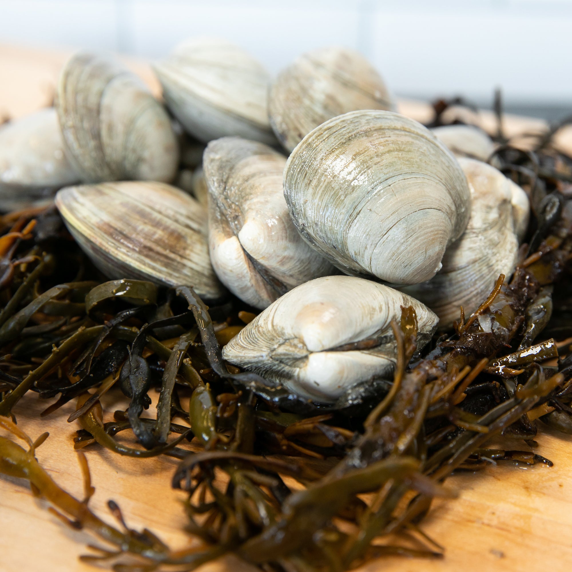 Buy clams online