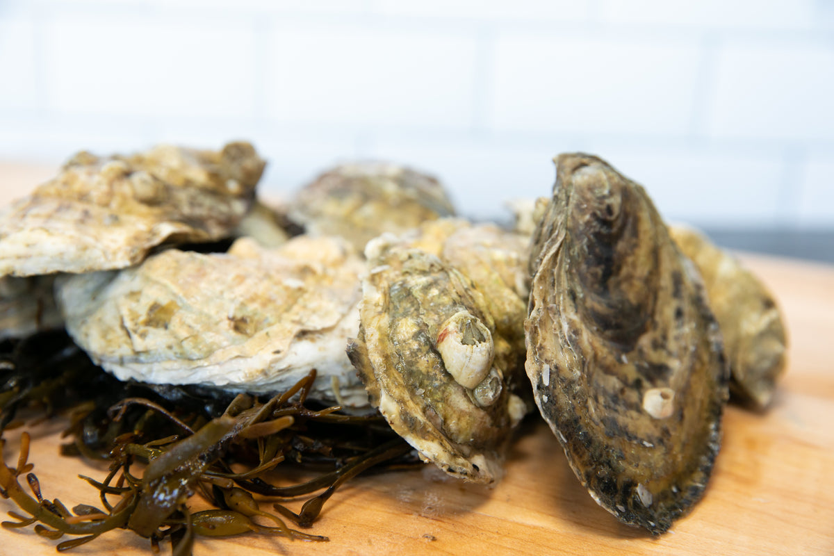 Oyster home delivery