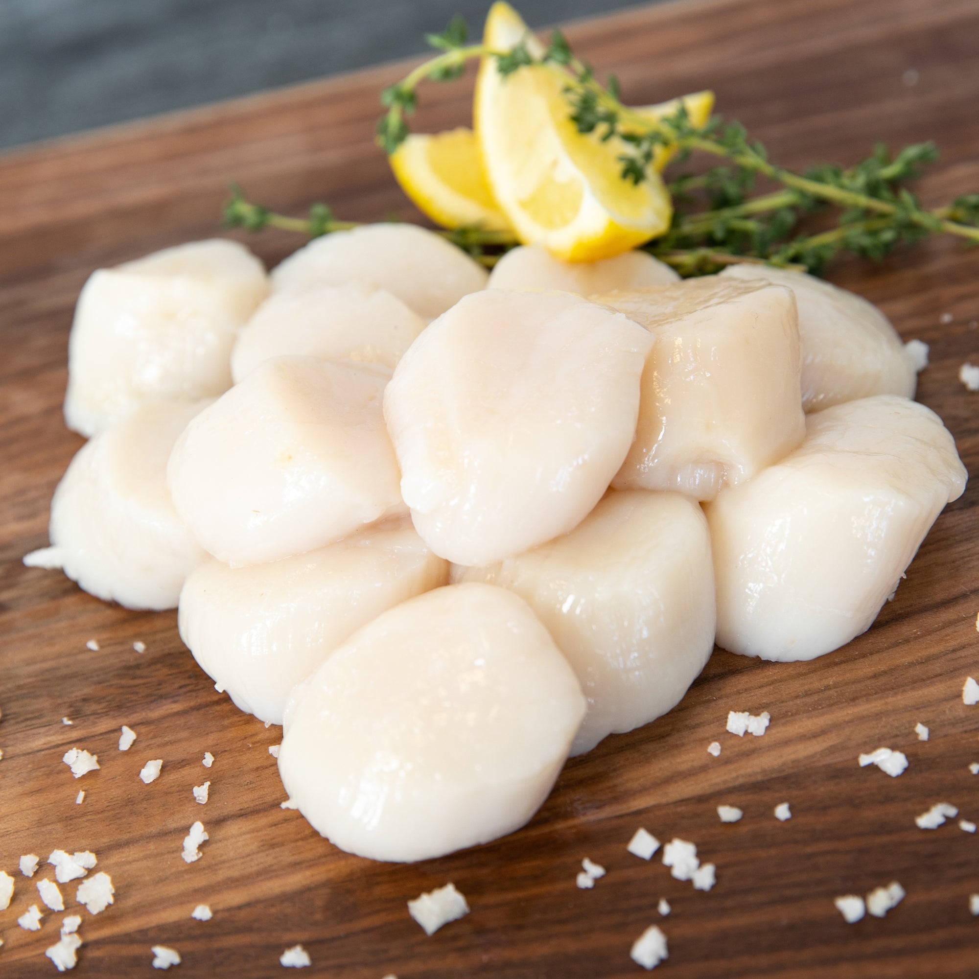 Buy scallops online