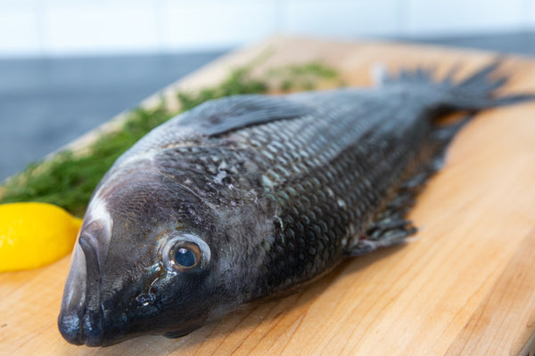 Local-130-wholeblackbass2_600x