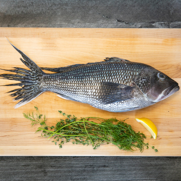 Locally Sourced WHOLE Black Bass Home Delivery - Local 130 Seafood