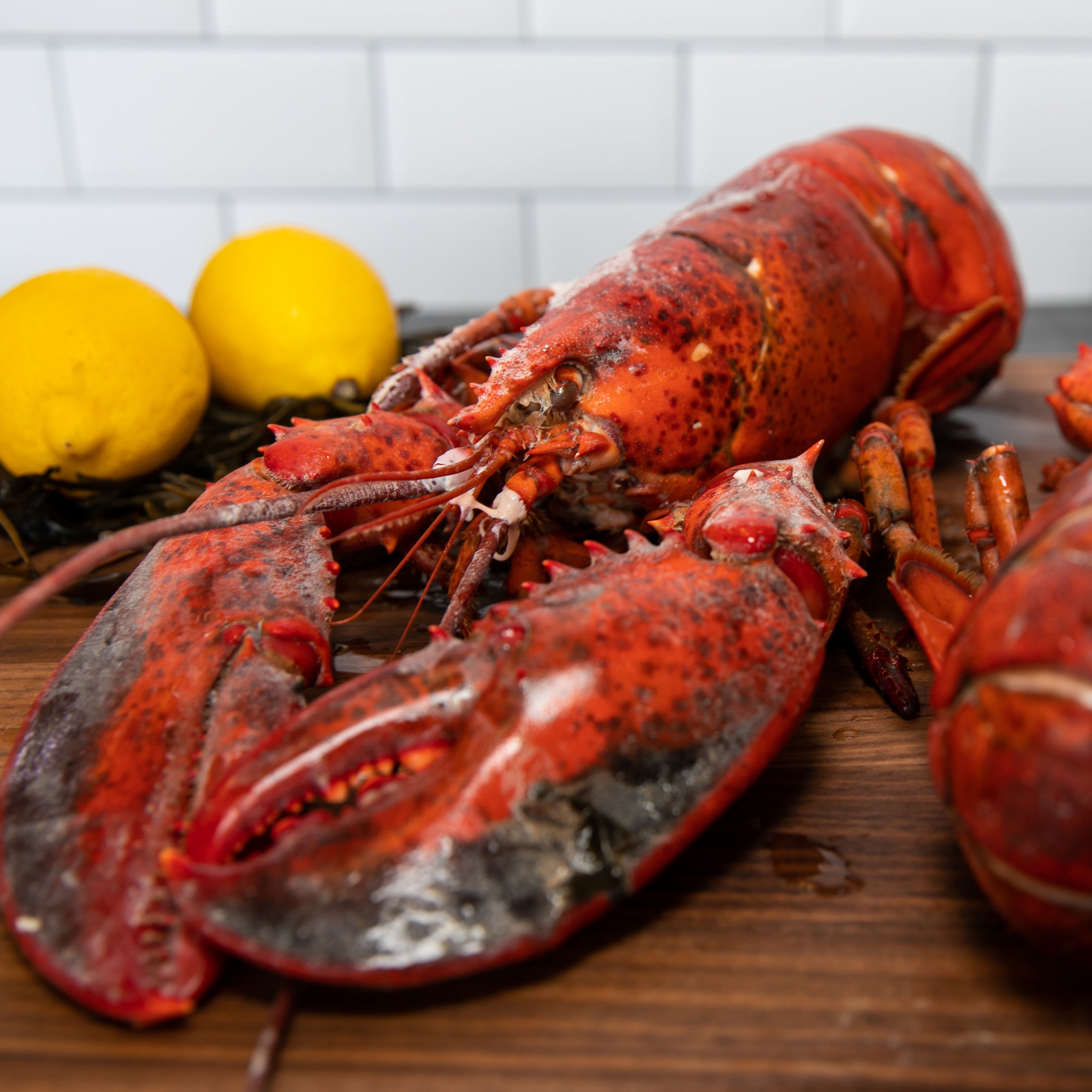 Seafood delivered store to home