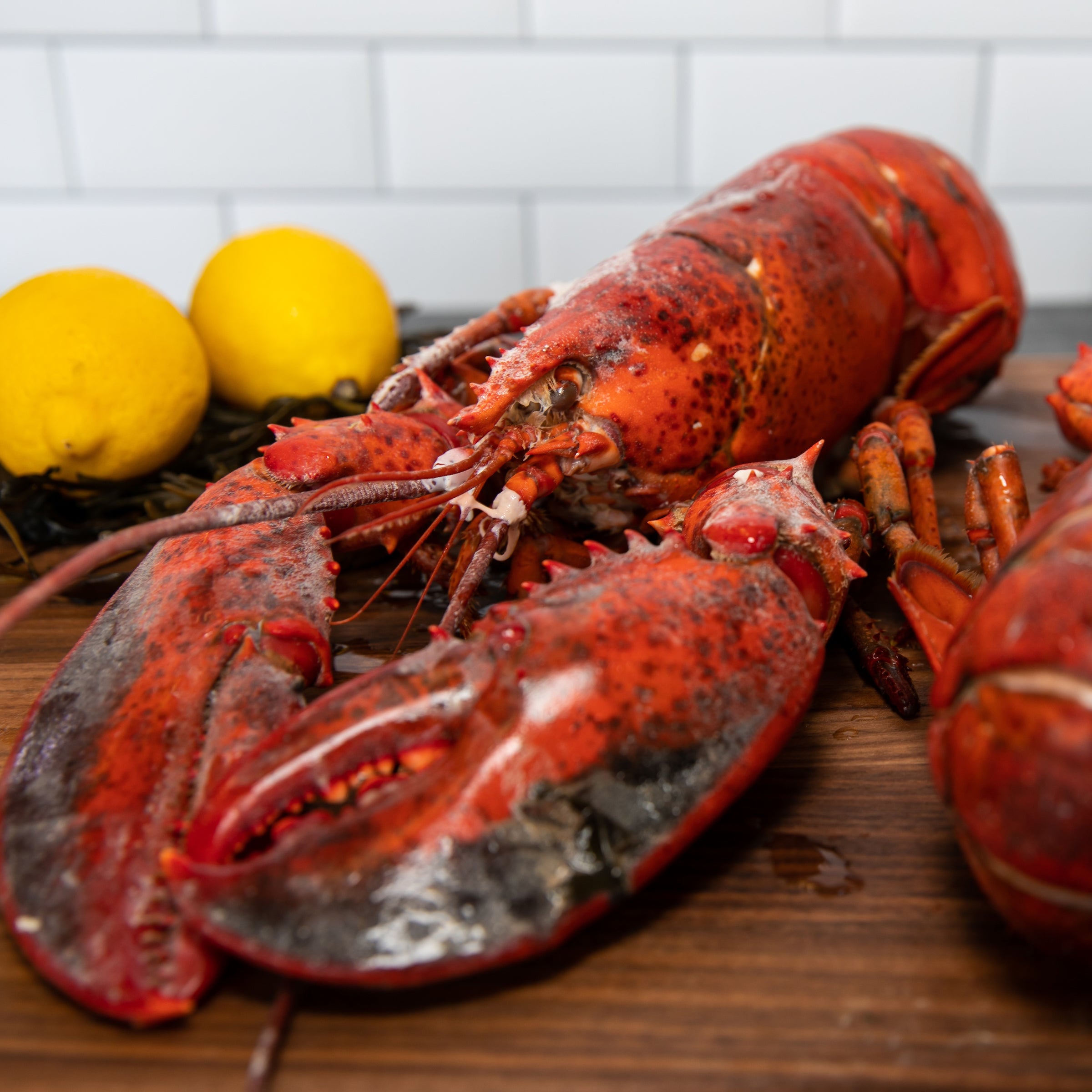 Large Steamed Lobsters