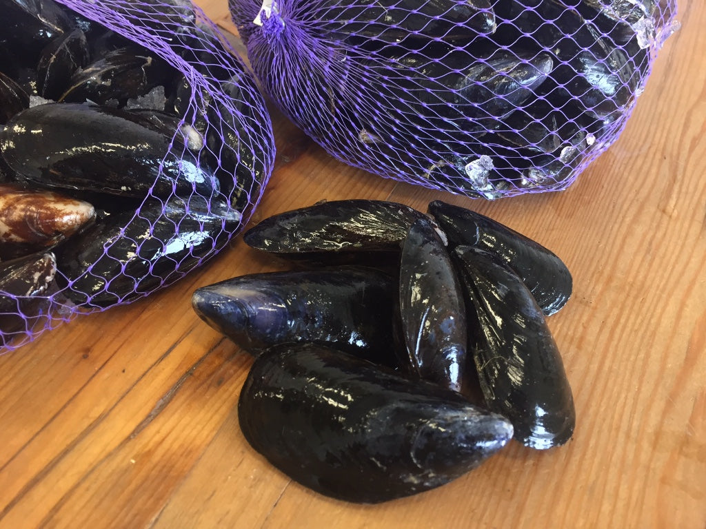 Buy Prince Edward Island Mussels