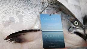 ORA King Salmon Home Delivery