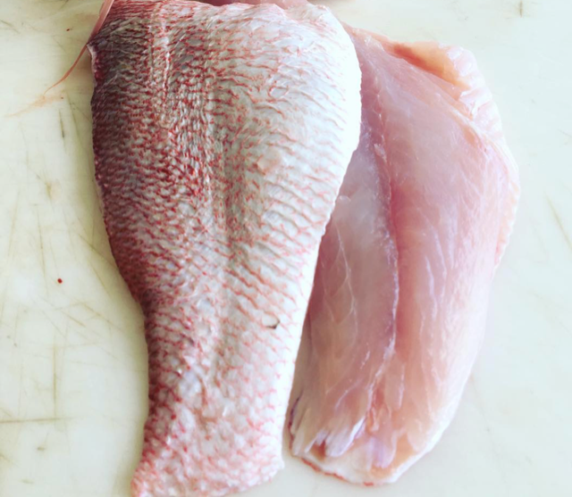 Yellowtail Snapper Fillet