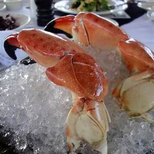 Buy Large Florida Stone Crab Claws in NJ