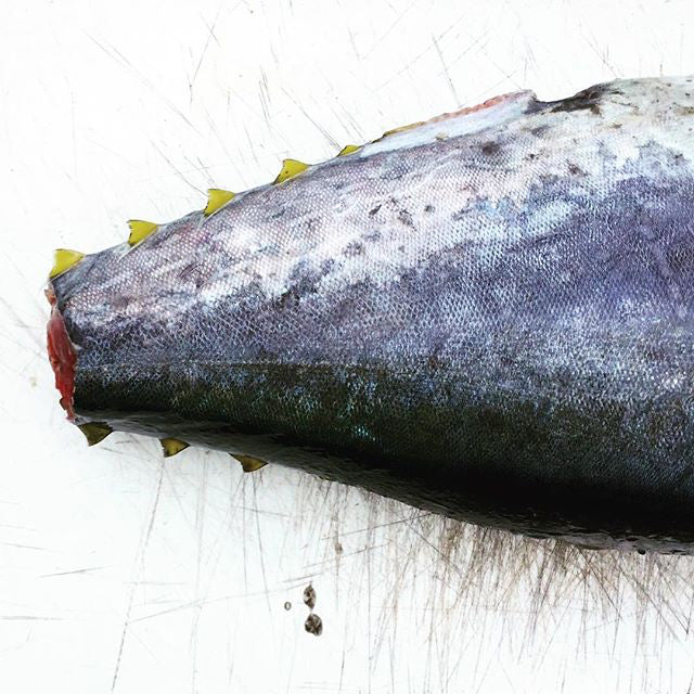 Buy wild caught grilling tuna.